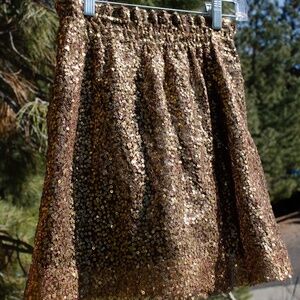 Gold and Copper Sequin Skirt